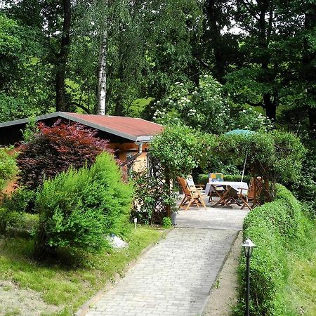 Ferienhaus Am Urzeitpark Sebnitz Hertigswalde Extérieur photo