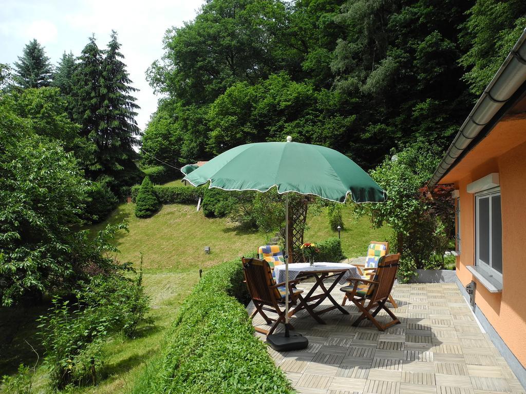 Ferienhaus Am Urzeitpark Sebnitz Hertigswalde Extérieur photo