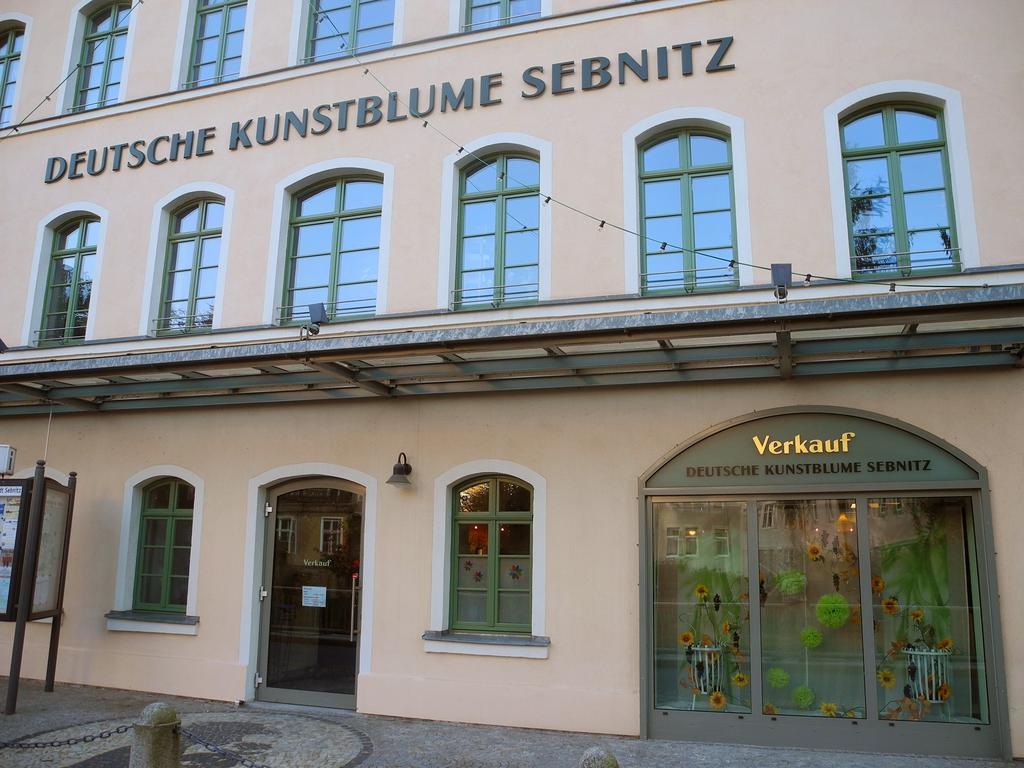 Ferienhaus Am Urzeitpark Sebnitz Hertigswalde Extérieur photo