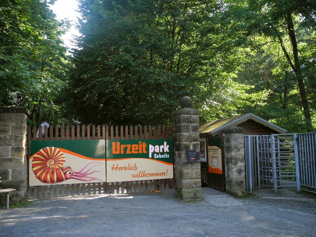 Ferienhaus Am Urzeitpark Sebnitz Hertigswalde Extérieur photo